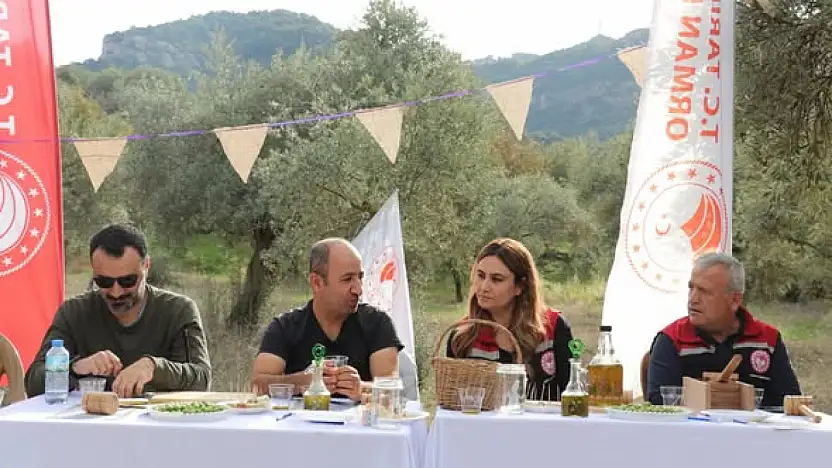 Tire'de Zeytin Ağacı Günü Etkinliği Gerçekleştirildi