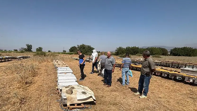 Tire İlçe Tarım'dan Arıcılara Ziyaret ve Kovan Sayımı