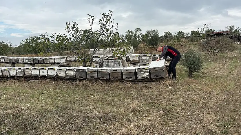 Tire İlçe Tarım ve Orman Müdürlüğü Arı Kovanlarını Tespit Ediyor