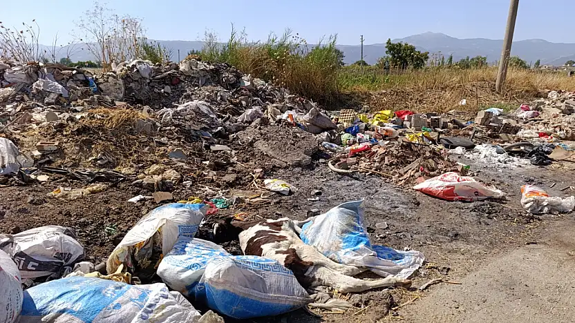 ÜÇ EYLÜL MAHALLESİ'NDE ÖLÜ HAYVANLAR VE İNŞAAT ATIKLARI TEHLİKE SAÇIYOR