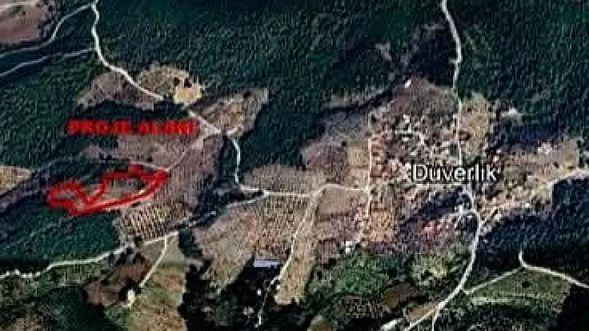 Zeytinlik alanda define arama ÇED Yönetmeliği'ne Aykırı Bulundu