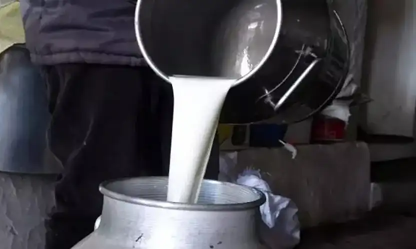 ÇİĞ SÜTTE YENİ FİYAT BELLİ OLDU: ÜRETİCİYE 22,22 LİRA