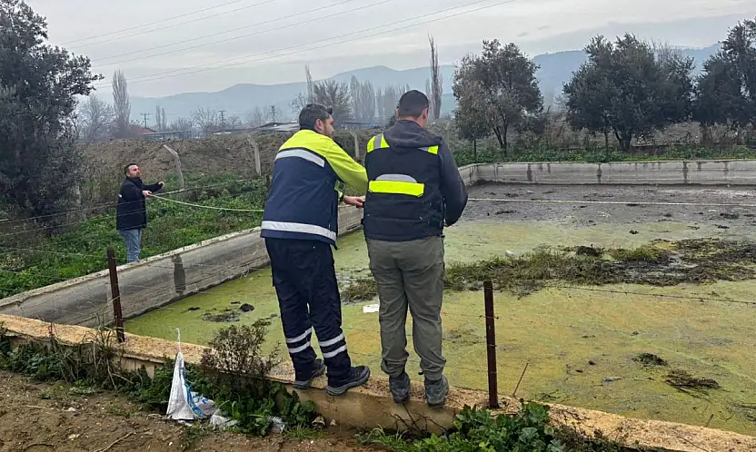 HAVUZDA MAHSUR KALAN TİLKİYİ TİRE BELEDİYESİ EKİPLERİ KURTARDI