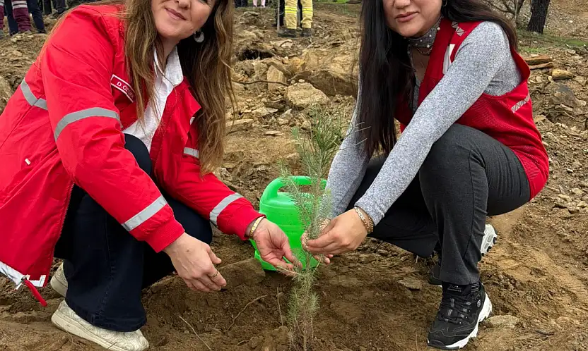 Kızılay Ekibi, 11 Kasım Milli Ağaçlandırma Günü'nde Fidan Dikiminde Yerini Aldı