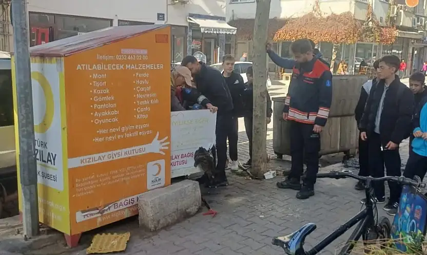 ÖDEMİŞ'TE KIZILAY BAĞIŞ KUTUSUNA SIKIŞAN KEDİ KURTARILDI