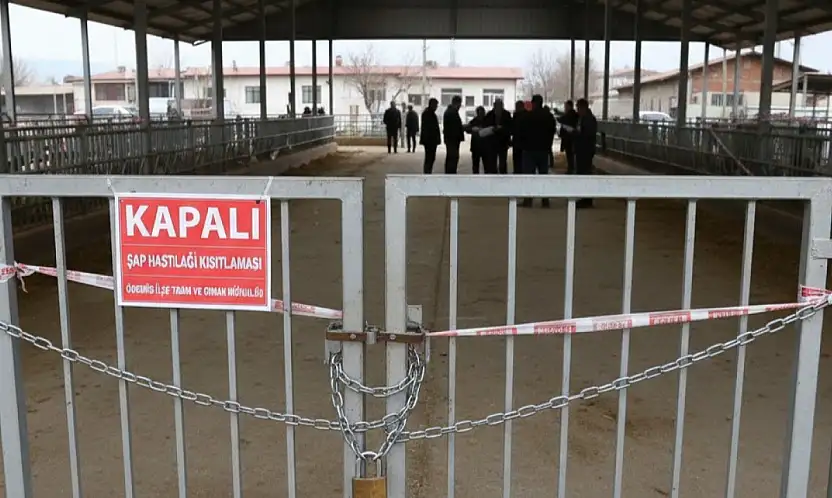 Ödemiş'te şap hastalığı kısıtlamaları güncellendi