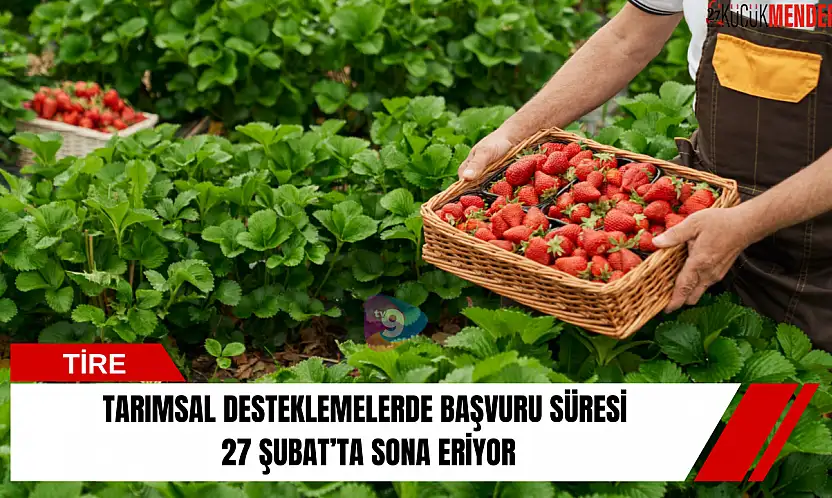 Tarımsal desteklemelerde başvuru süresi 27 Şubat'ta sona eriyor