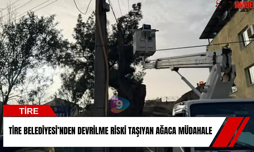 Tire Belediyesi'nden devrilme riski taşıyan ağaca müdahale