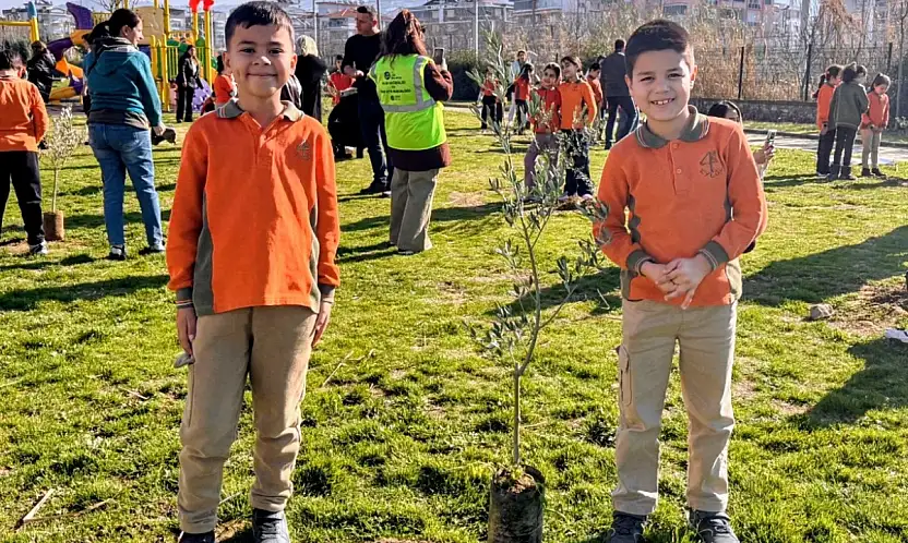Tire'de Öğrenciler, Zeytin Fidanlarını Toprakla Buluşturdu