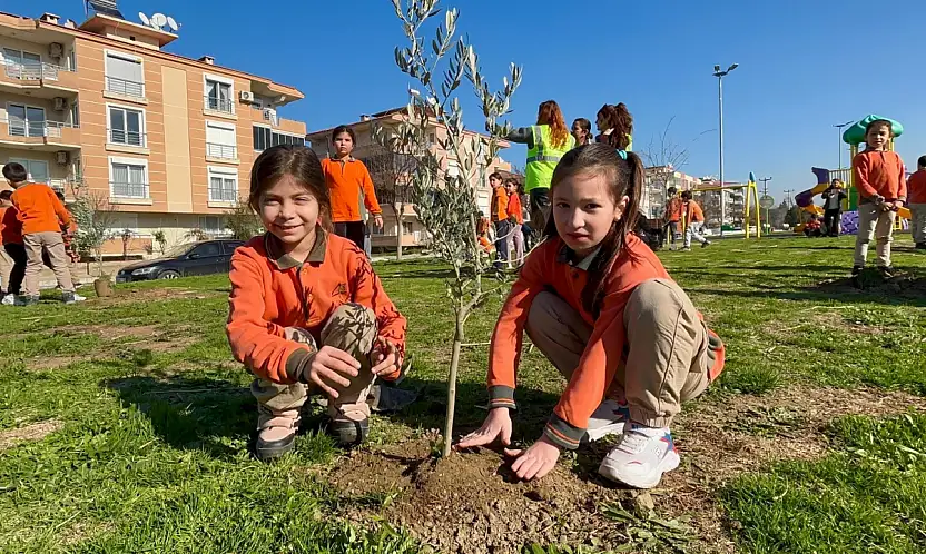 Tire'de Öğrenciler, Zeytin Fidanlarını Toprakla Buluşturdu