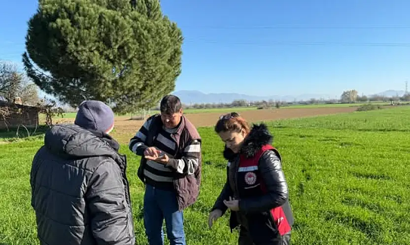 TİRE'DE TARLA ZARARLILARI YERİNDE İNCELENDİ