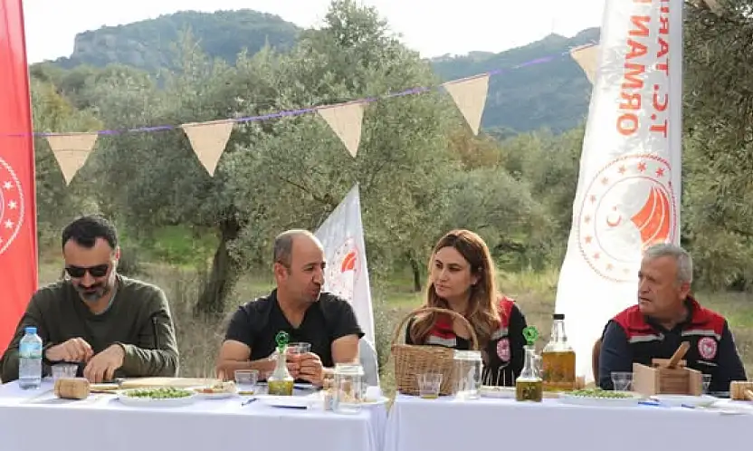 Tire'de Zeytin Ağacı Günü Etkinliği Gerçekleştirildi