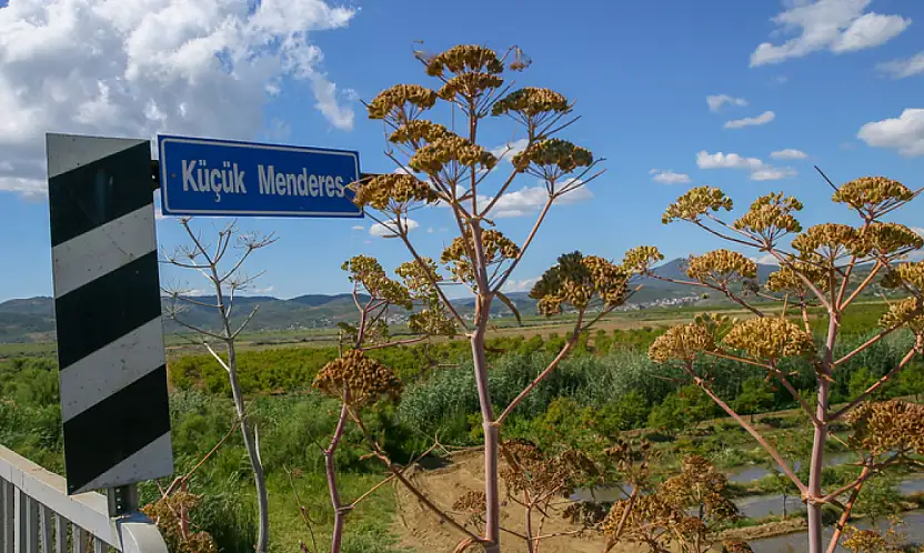 ZEYTİNLİKLER KAZANDI, MADEN DURDU